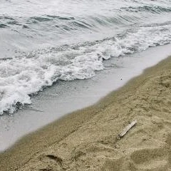 夏だ！海だ！水着だ！の写真1枚目