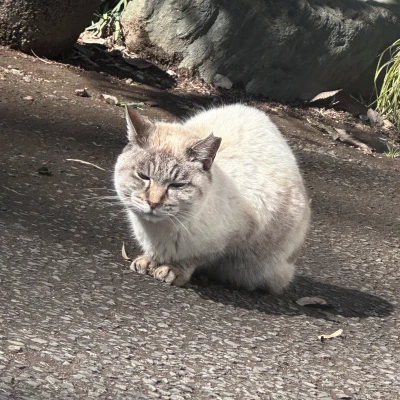 るのだよ〜🍀*゜