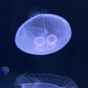 出勤してます！の写真1枚目