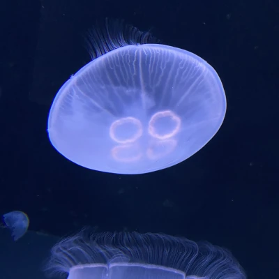 出勤してます！