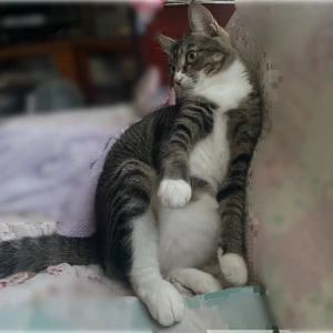 9/13の写真1枚目