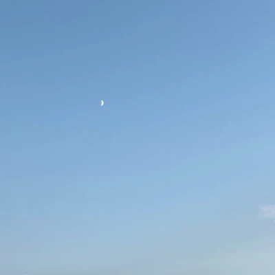 ᐕ)ﾉ 10.7 ①