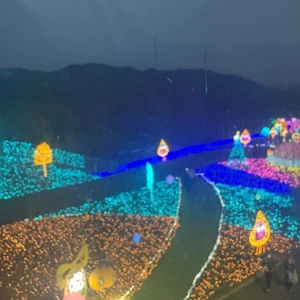 1202🐶の写真2枚目