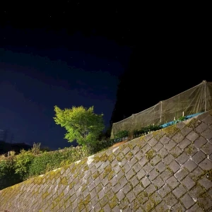 こんばんは～の写真1枚目