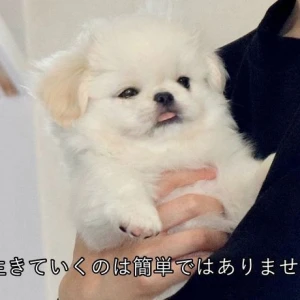 テンサゲ期間に突入しました‼️の写真2枚目