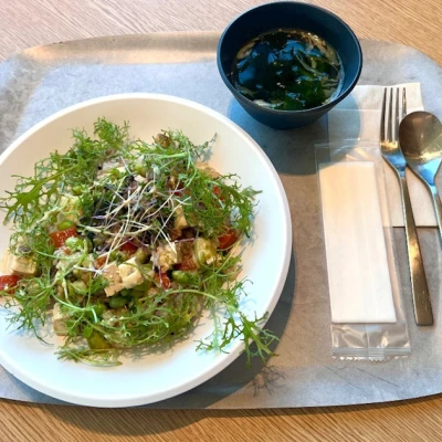 念願🥑 ◝✩ ✧︎