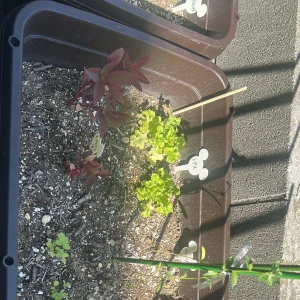 今日お疲れ様でした💕の写真1枚目