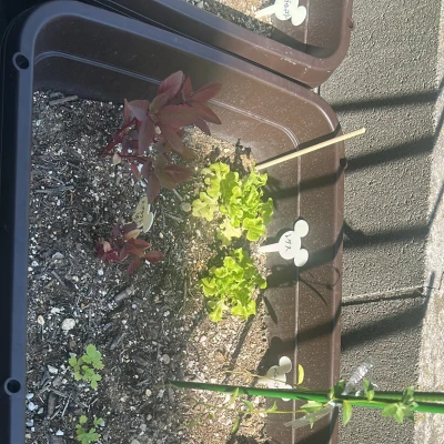 今日お疲れ様でした💕