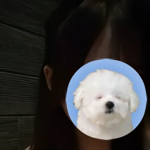 うなちゃ21:00から出勤してます！！🌷の写真1枚目