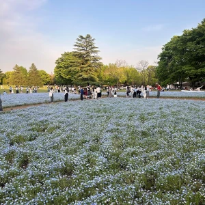 5.1🪄の写真1枚目