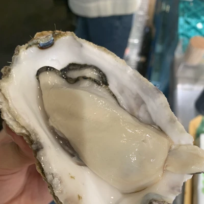 念願の生牡蠣食べれたぁあ！