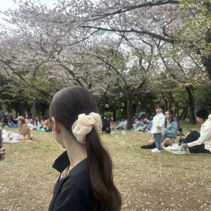 今日はお昼にお花見しました🌸の写真1枚目