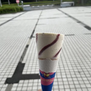 こんばんわん🐶みゆきです今日は学校の帰り道にセブンティーアイスの自販機見つけたので買っちゃいました🍨久しぶりのセブンティーンアイスめっちゃ美味しか...の写真1枚目
