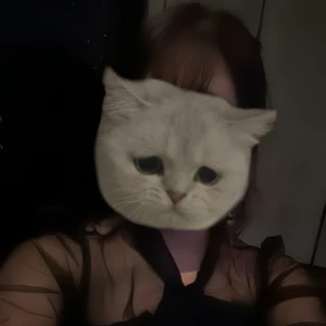 こんばんは🫶の写真1枚目
