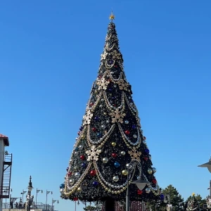 ディズニーもクリスマス🎄✨の写真1枚目