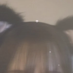 めいです！本日19時からいます🐶の写真1枚目