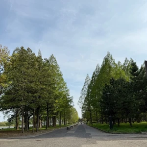 4.25の写真1枚目