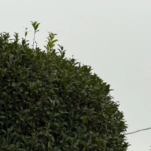 だーいすきな季節🍁🍂の写真1枚目