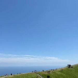 自然感じてきた🌳の写真2枚目