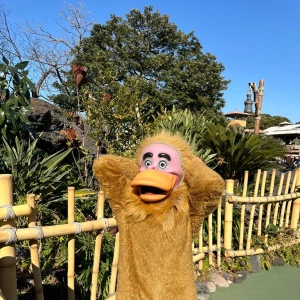 もかです！の写真1枚目