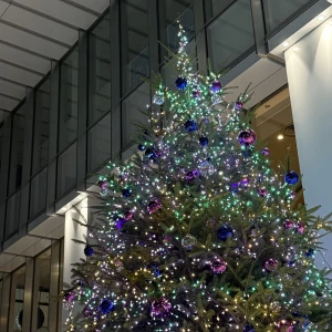 こんにちは、ゆりあですの写真1枚目