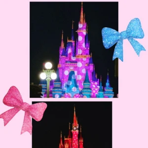 ディズニー🎀の写真3枚目