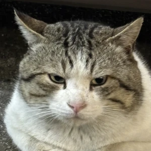 GW➰どうしてますかぁ💁の写真1枚目