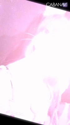 おはようございます!の写真