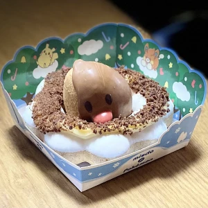 12/4 哀愁ディグダ🦭今日私はお休みですん🦭の写真1枚目