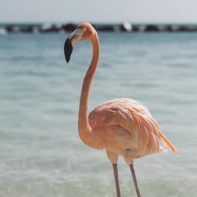 タイムライン: 05月31日 05:05