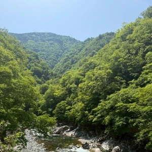 自然界隈したい🌱の写真1枚目