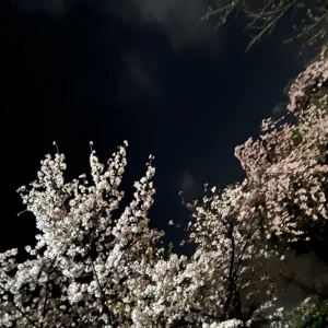 4月！の写真1枚目