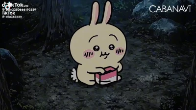 鬼滅みたいなぁ の写真