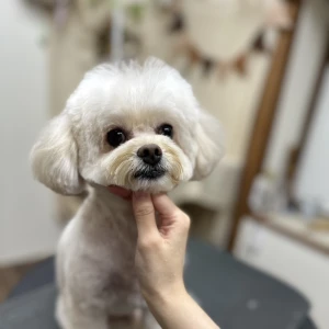 こんばんは！の写真1枚目