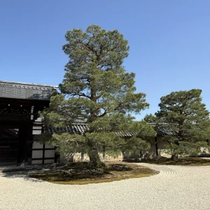 こんにちは、ゆりあですの写真1枚目