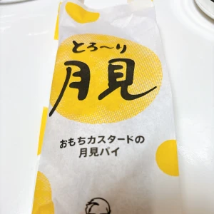 なんかめっちゃ雨降ってるらしい…？の写真2枚目