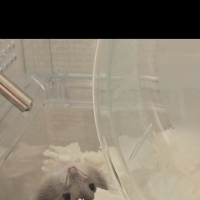 イナバウアーー‼️‼️‼️‼️