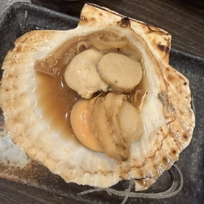 9/20(日) 22時からいます🐚