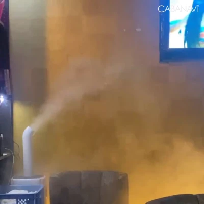 19時から‼️‼️