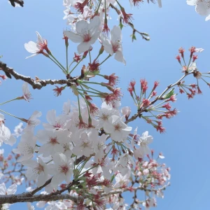 こんにちは😃の写真1枚目