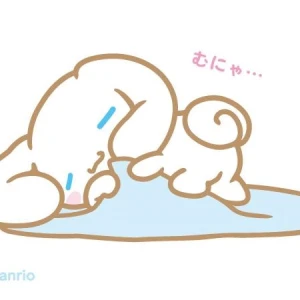 4/26 おやすみ‼️の写真1枚目