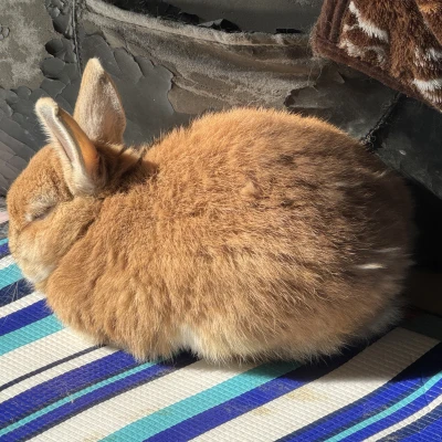 おはようございます☀