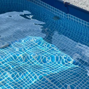 夏だネの写真1枚目