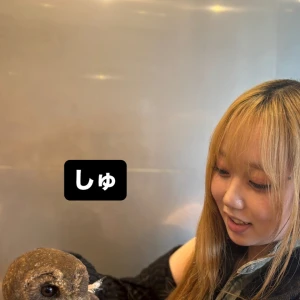 フクロウさんとふれあったよの写真1枚目