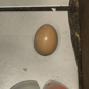 夜中に可哀想すぎて泣けたの写真1枚目