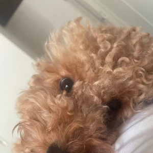 おはようぶろぐ！の写真1枚目