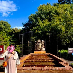 おはようございます🌞の写真2枚目