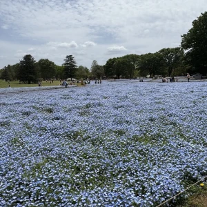 こんばんは✨の写真2枚目