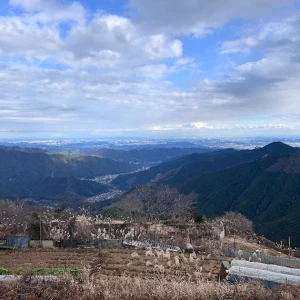 こんばんは🦊の写真1枚目