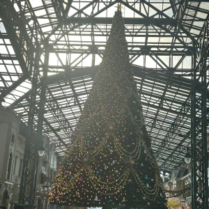 おはようございます☀の写真1枚目